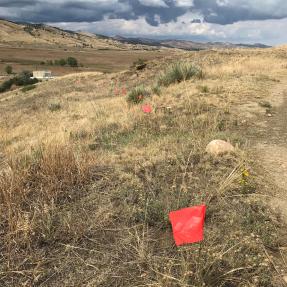 Red flags along a hillside marking the Cobalt Trail reroute