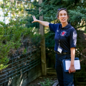 A specialist from Boulder Fire-Rescue stands next to fence and trees in a homeowners yard while conducting a Detailed Home assessment