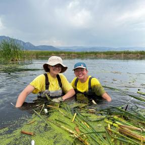 Junior Rangers stand in wetland pulling cattails